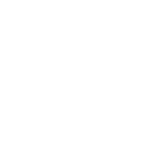 dss